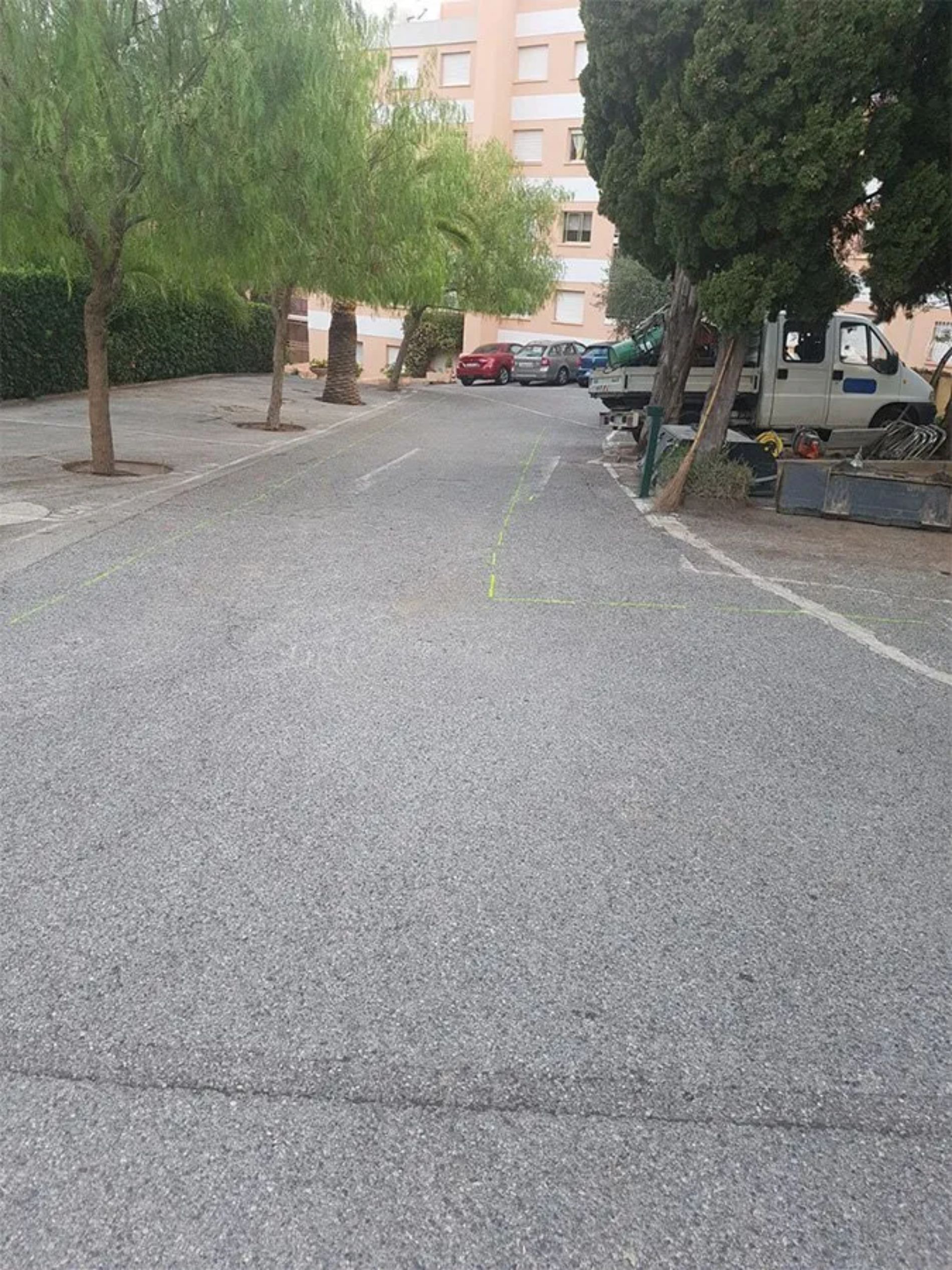 Strada asfaltata fiancheggiata da alberi; veicoli ed edifici sullo sfondo.