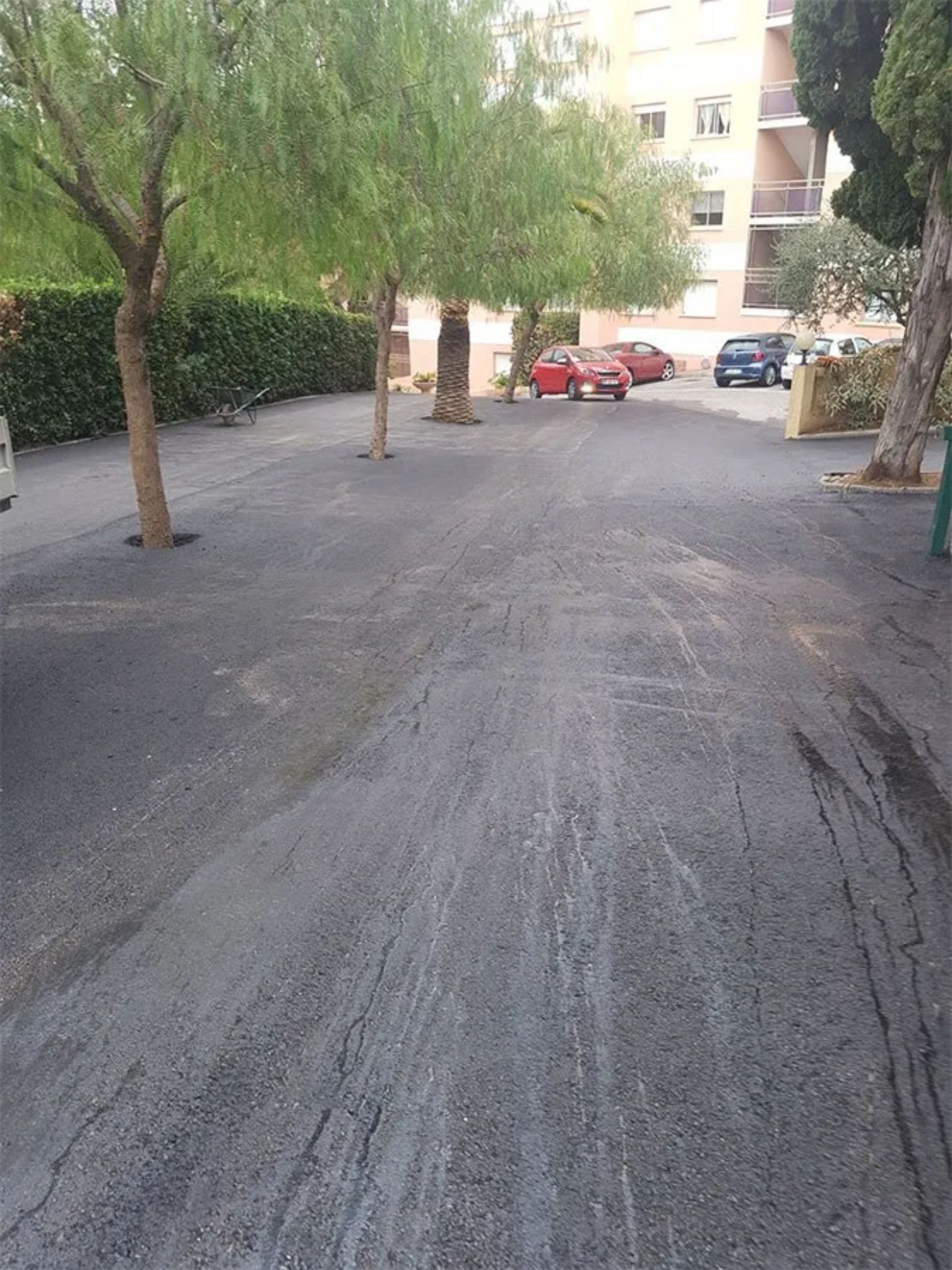 Viale d'accesso asfaltato fiancheggiato da alberi; auto parcheggiate in lontananza, condominio sullo sfondo.
