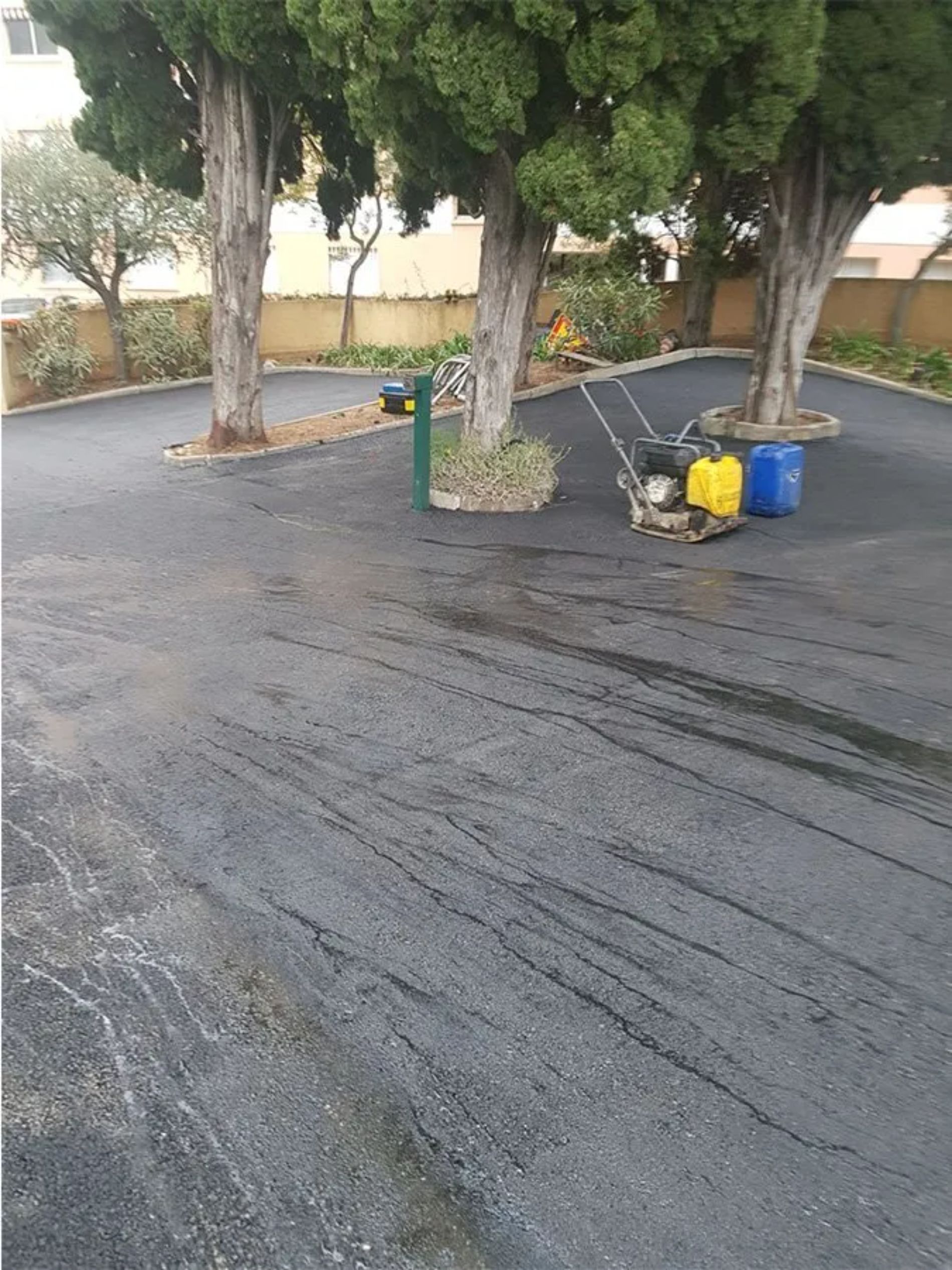 Asfalto appena asfaltato, alberi al centro, attrezzature nelle vicinanze, posizione esterna soleggiata.