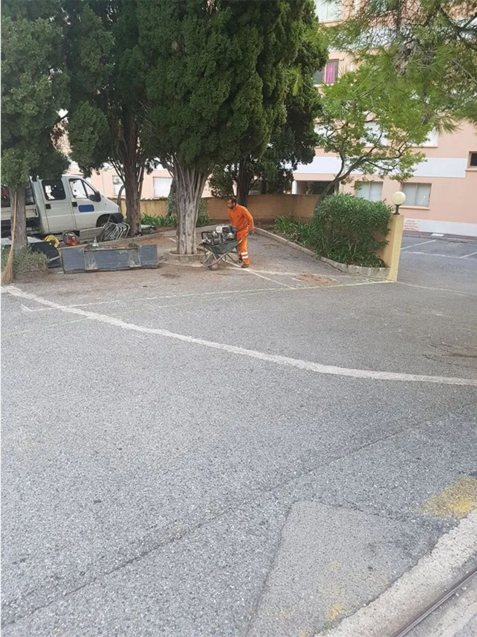 Persona in abiti da lavoro arancioni vicino a un albero, probabilmente al lavoro. Area asfaltata con un edificio sullo sfondo.