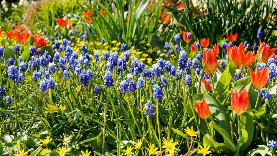 Two chairs sit under a tree with golden leaves in an autumn landscape.