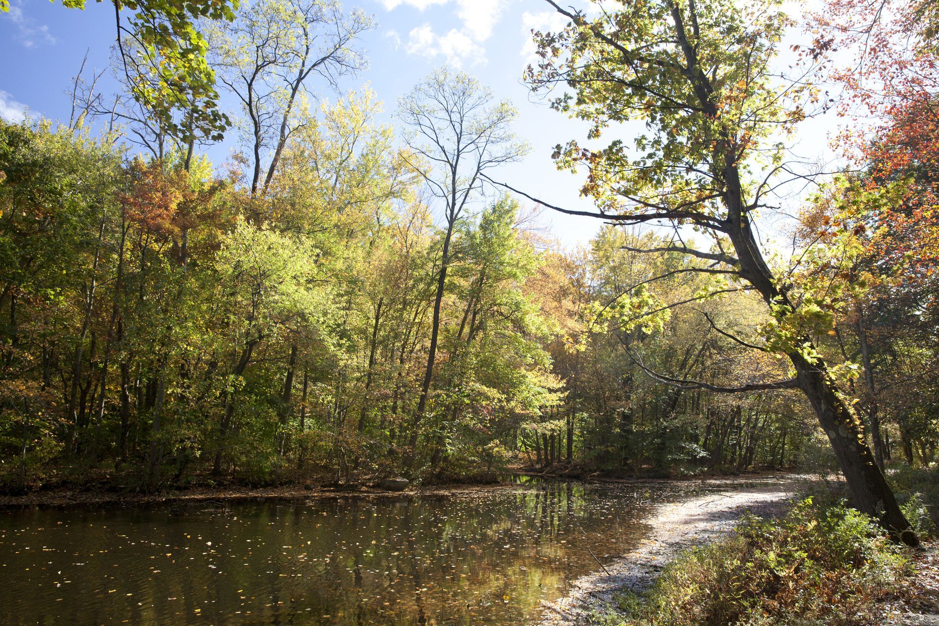 Autumn scene: calm river with trees in vibrant fall colors. Sunlight reflects on the water and a path.