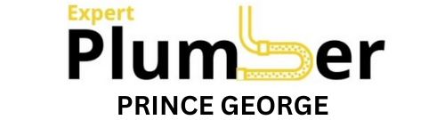 Expert Plumber Prince George Logo