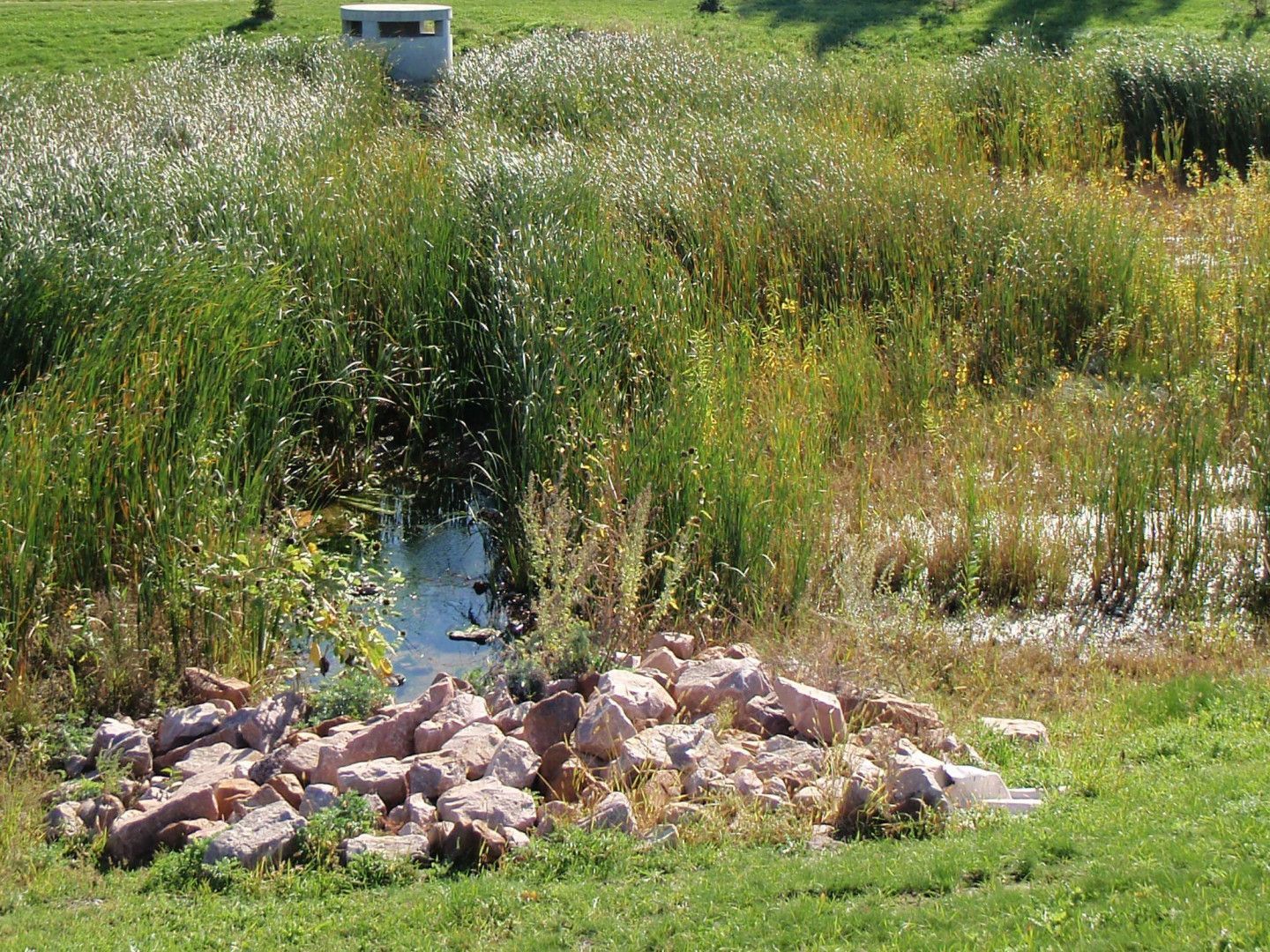 water quality management austin tx