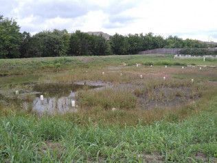 storm water drainage repair austin tx