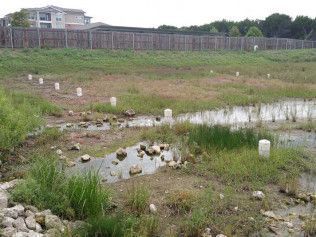 storm water drainage repair austin tx