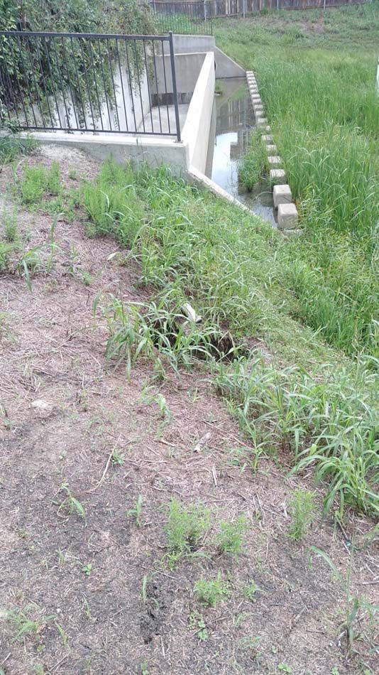 storm water drainage repair austin tx