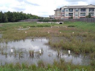 green infrastructure austin tx