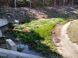 green infrastructure austin tx