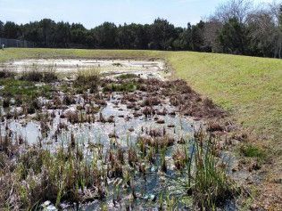 green infrastructure austin tx