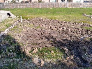 green infrastructure austin tx