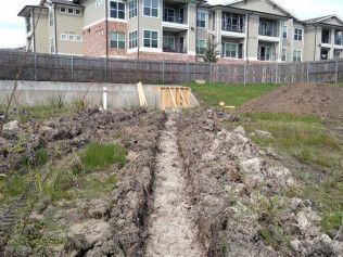 rain garden installation austin tx