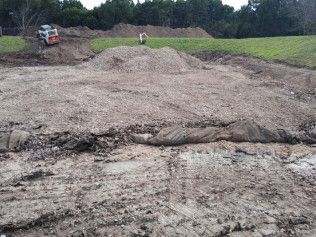 rain garden installation austin tx