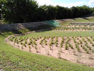 storm water solutions austin tx
