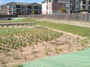 storm water solutions austin tx
