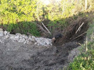 detention pond maintenance austin tx