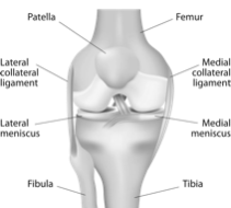 Kidney stone, urinary stone, ureteric stone, renal calculi, renal colic, nephrolithiasis