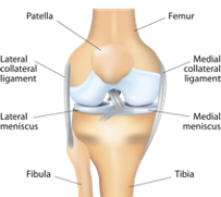 Kidney stone, urinary stone, ureteric stone, renal calculi, renal colic, nephrolithiasis