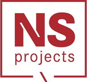 NS Projects Logo