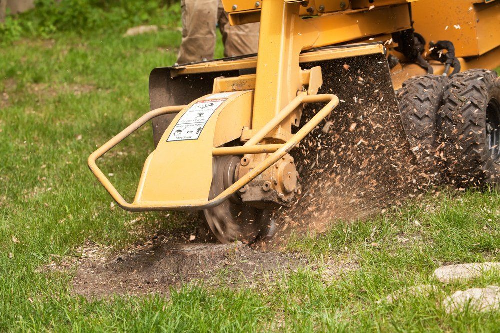 Stump Grinding Using Machine — Sanford, NC — Phil Stone Tree Removal