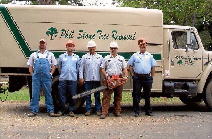 Chainsaw After Cutting Down A Tree — Sanford, NC — Phil Stone Tree Removal