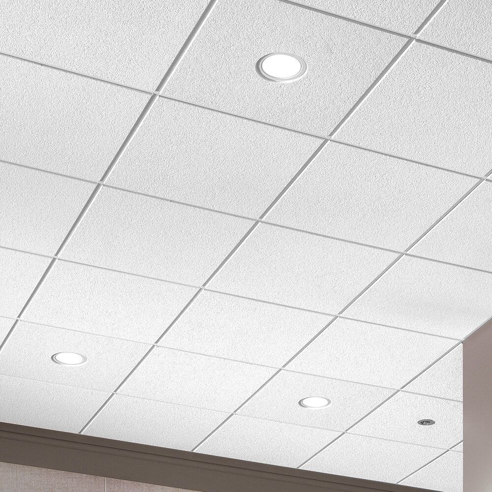 Cielo Raso Inspeccionable