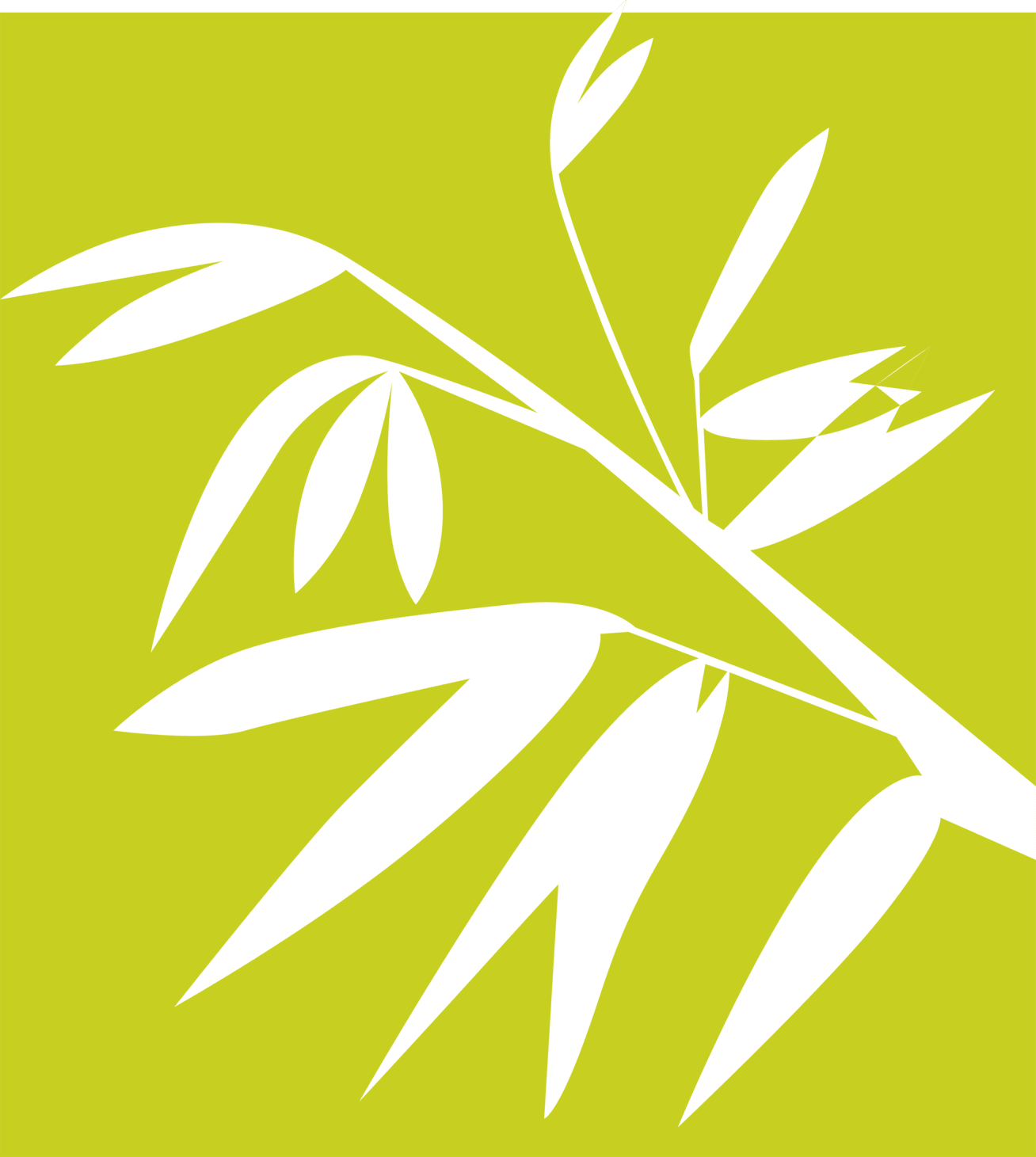 Dr. Phil The Dentist Icon