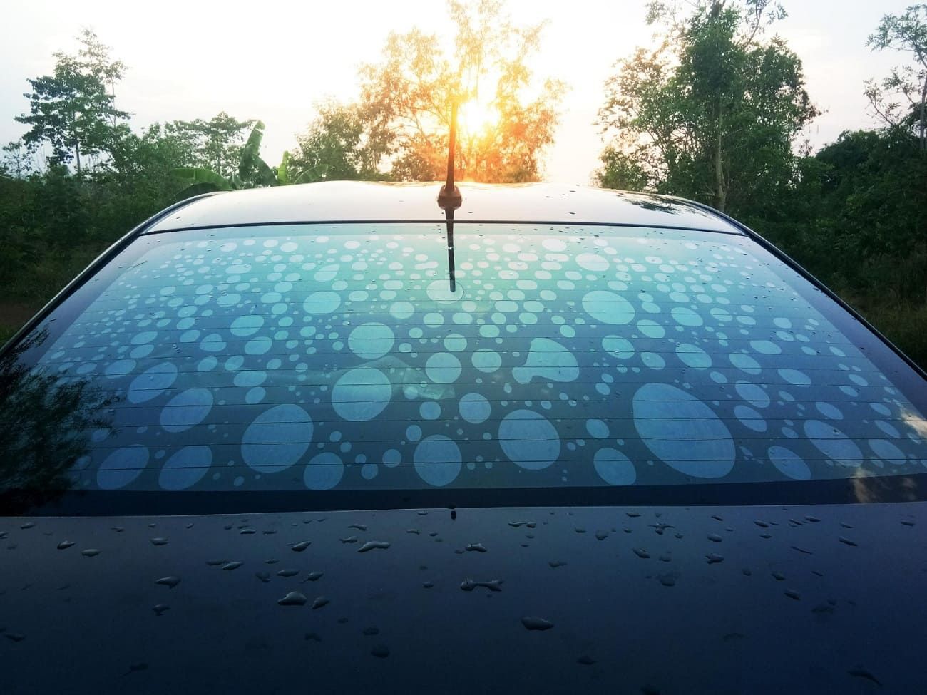 bubbles in window tint after installation