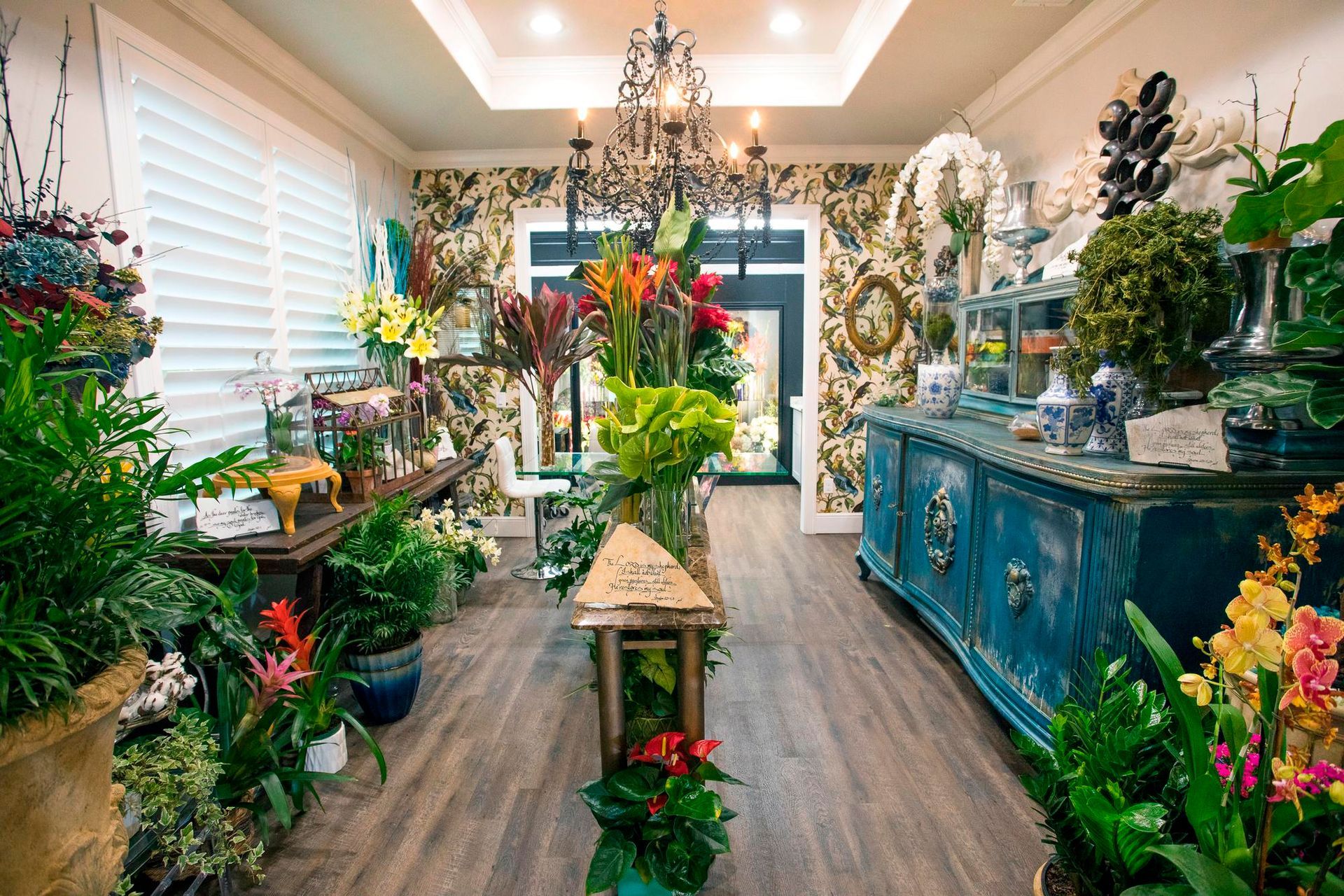 A room filled with lots of potted plants and flowers.