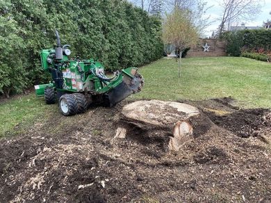 Un tracteur vert coupe une souche d'arbre dans une cour.