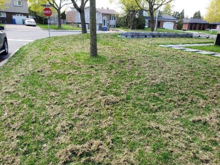 Une voiture est garée sur le bord de la route devant un panneau stop.