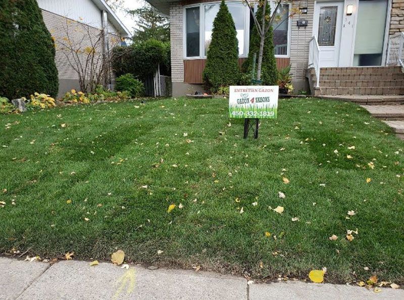 Une pelouse verdoyante avec une pancarte devant une maison.