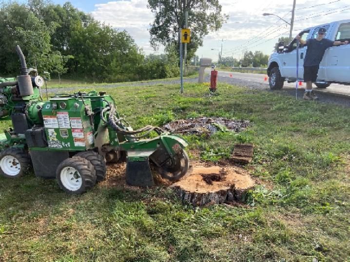 Une dessoucheuse est assise à côté d’une souche d’arbre.