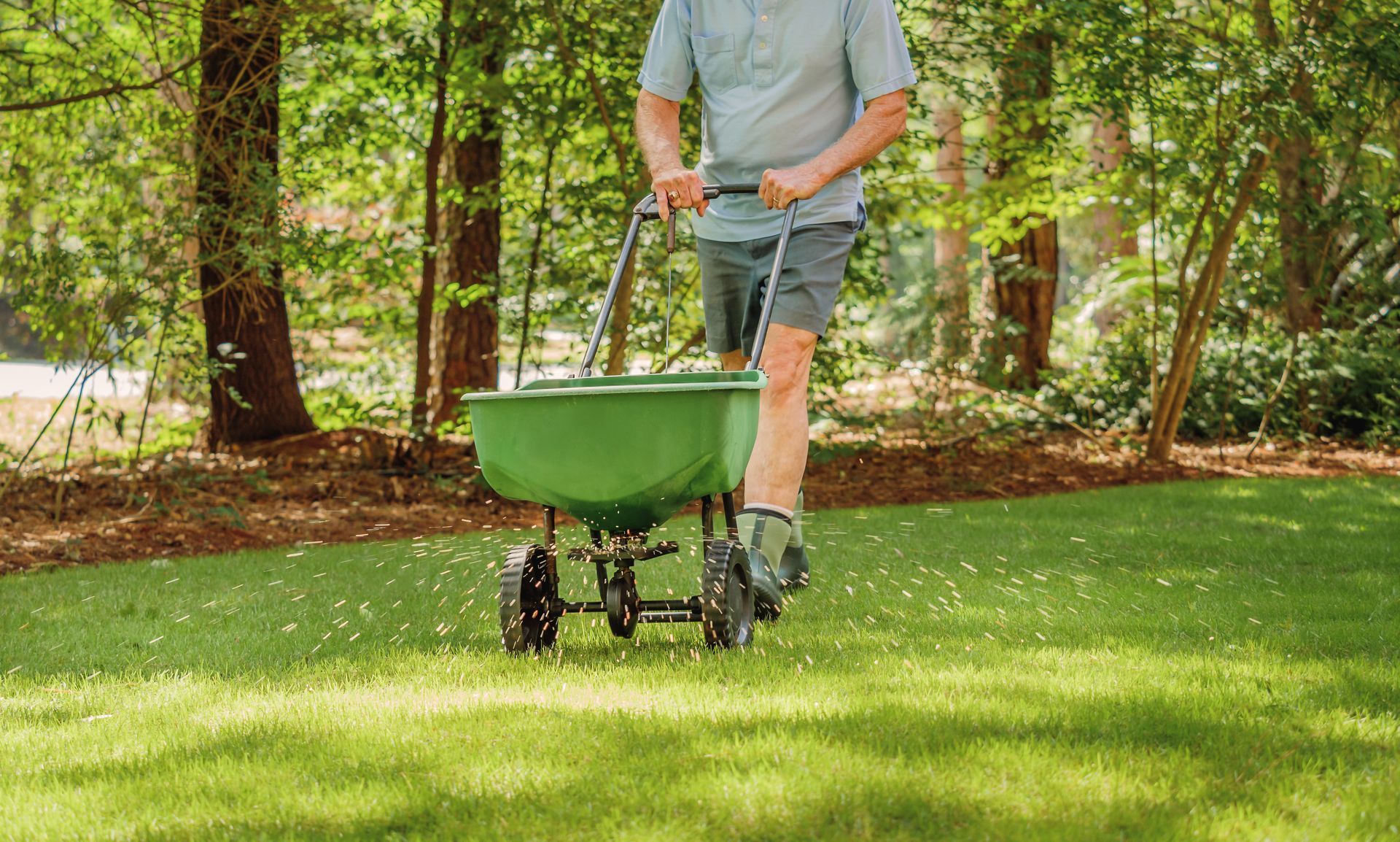 Un homme tond l’herbe avec une tondeuse à gazon.
