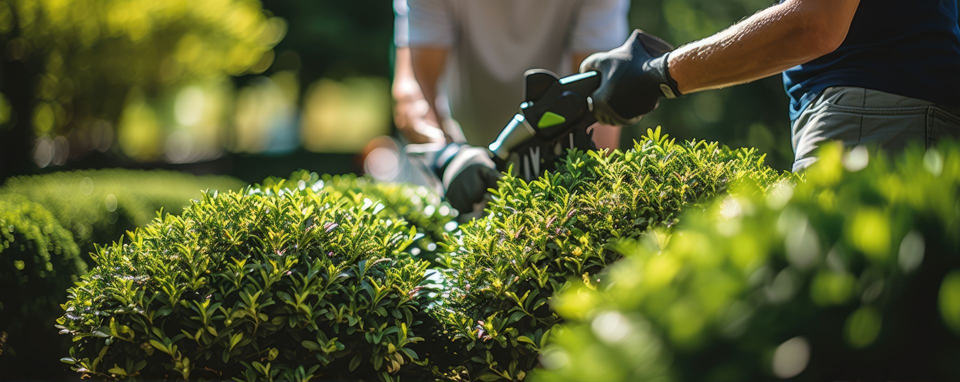 Un homme taille un buisson avec un taille-haie.