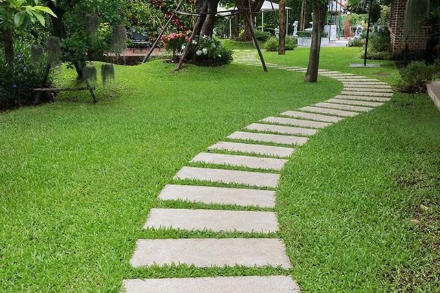 Gazon 4 saisons photo 9