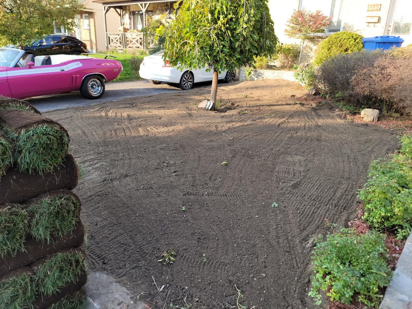 Une voiture rose est garée dans une allée à côté d’un tas d’herbe.
