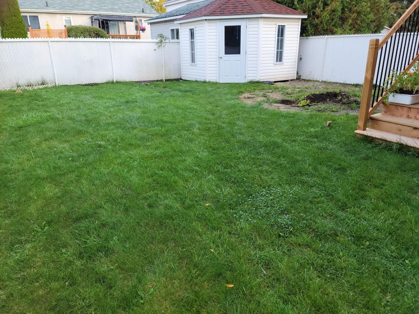 Une cour verdoyante avec un cabanon blanc et des escaliers.
