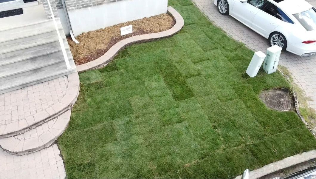 Une voiture blanche est garée devant une pelouse verdoyante.