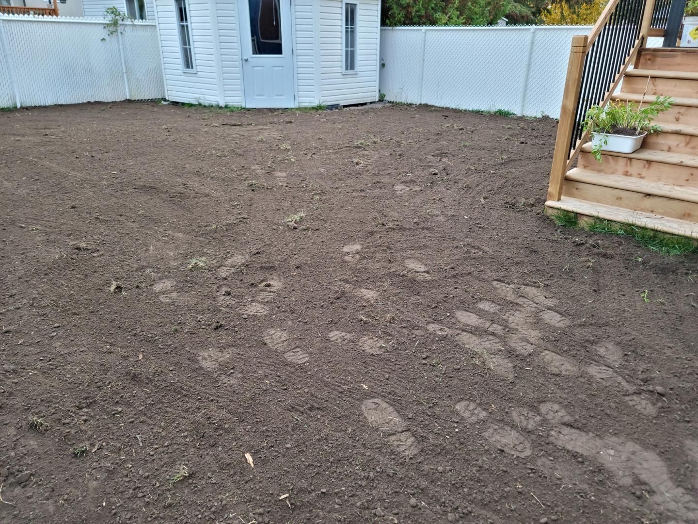 Une cour arrière avec des escaliers et un cabanon en arrière-plan.
