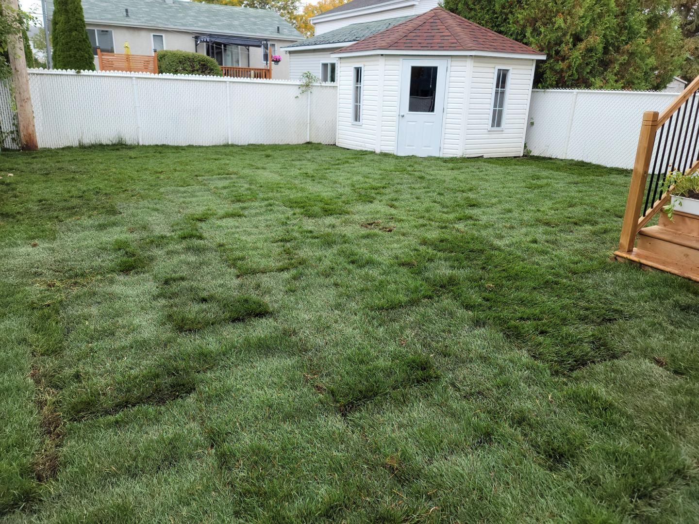 Une cour avec une clôture blanche et un cabanon en arrière-plan.