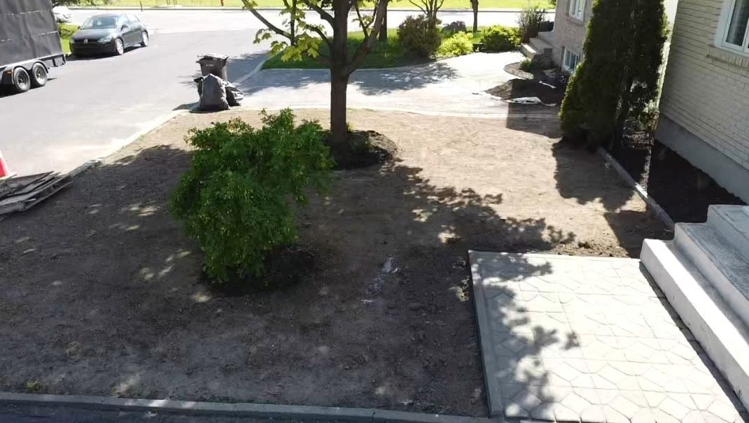 Vue aérienne d'une cour avec un arbre et des buissons devant une maison.