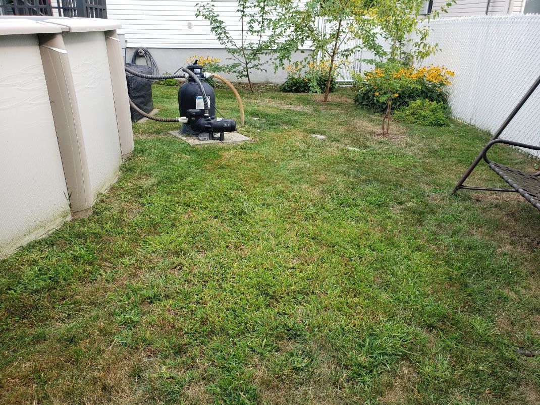 Une cour avec une balançoire et un tuyau dans l'herbe.