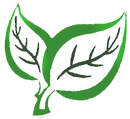 Deux feuilles vertes avec des branches noires sur fond blanc.