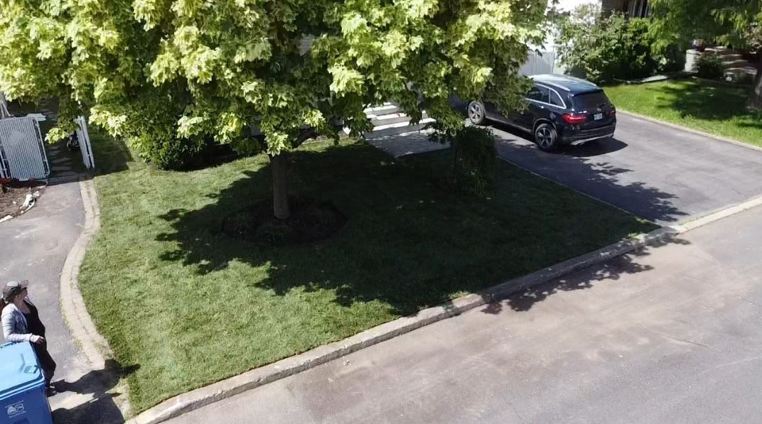 Vue aérienne d'une voiture garée dans une allée à côté d'un arbre.