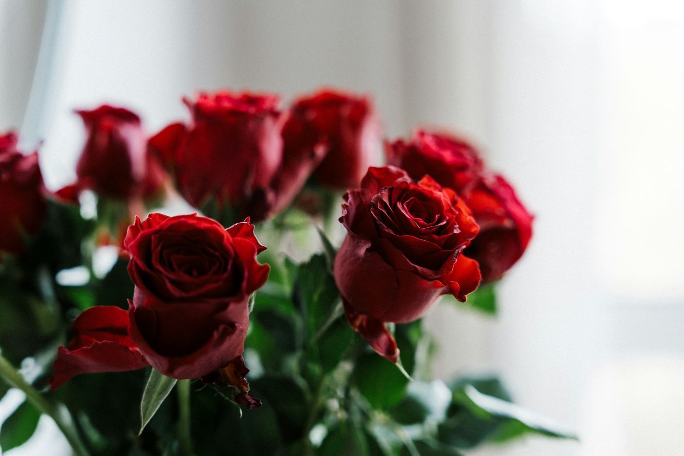 A close up of a bouquet of red roses on a table.