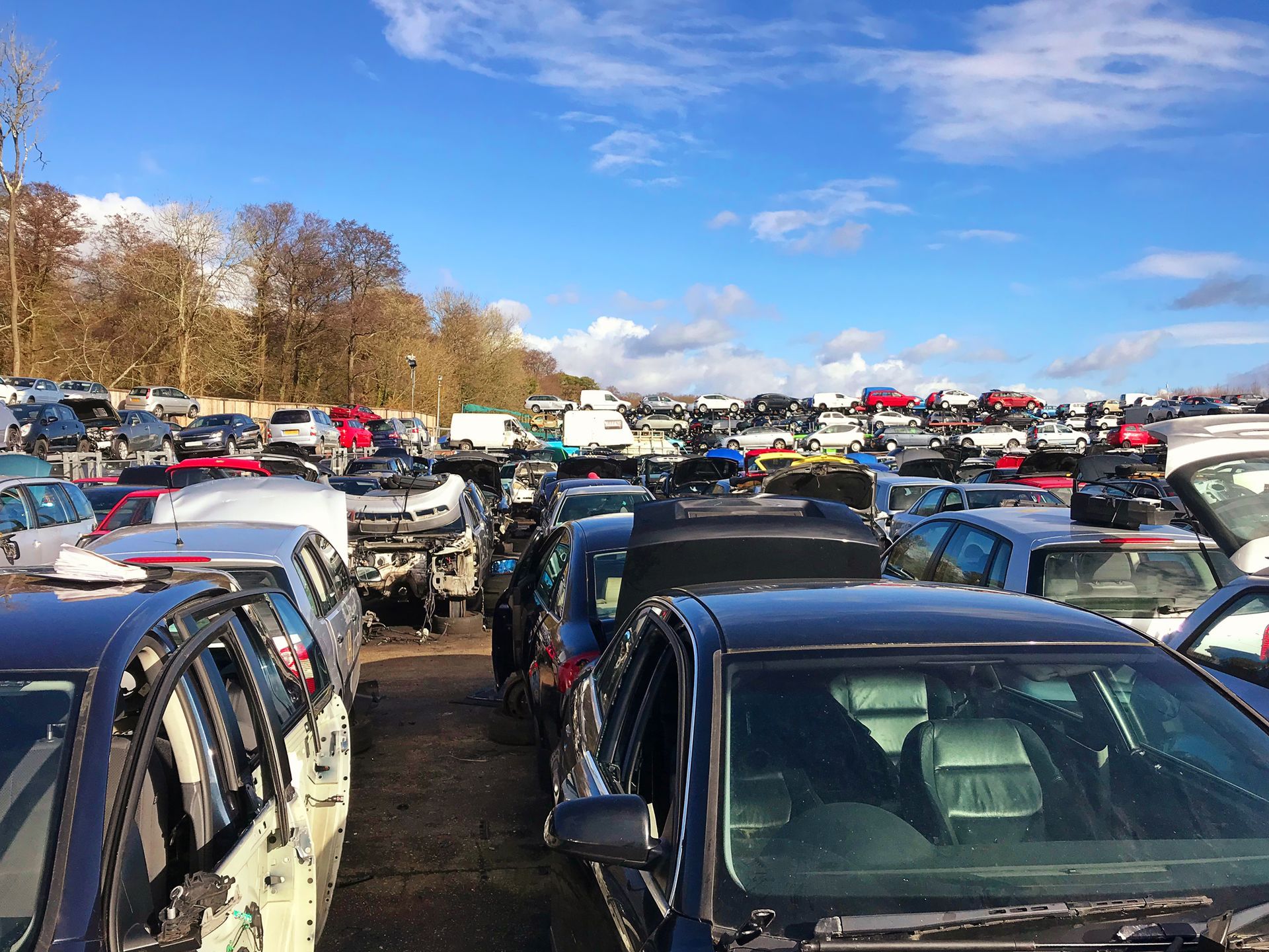 A lot of cars are parked in a lot on a sunny day