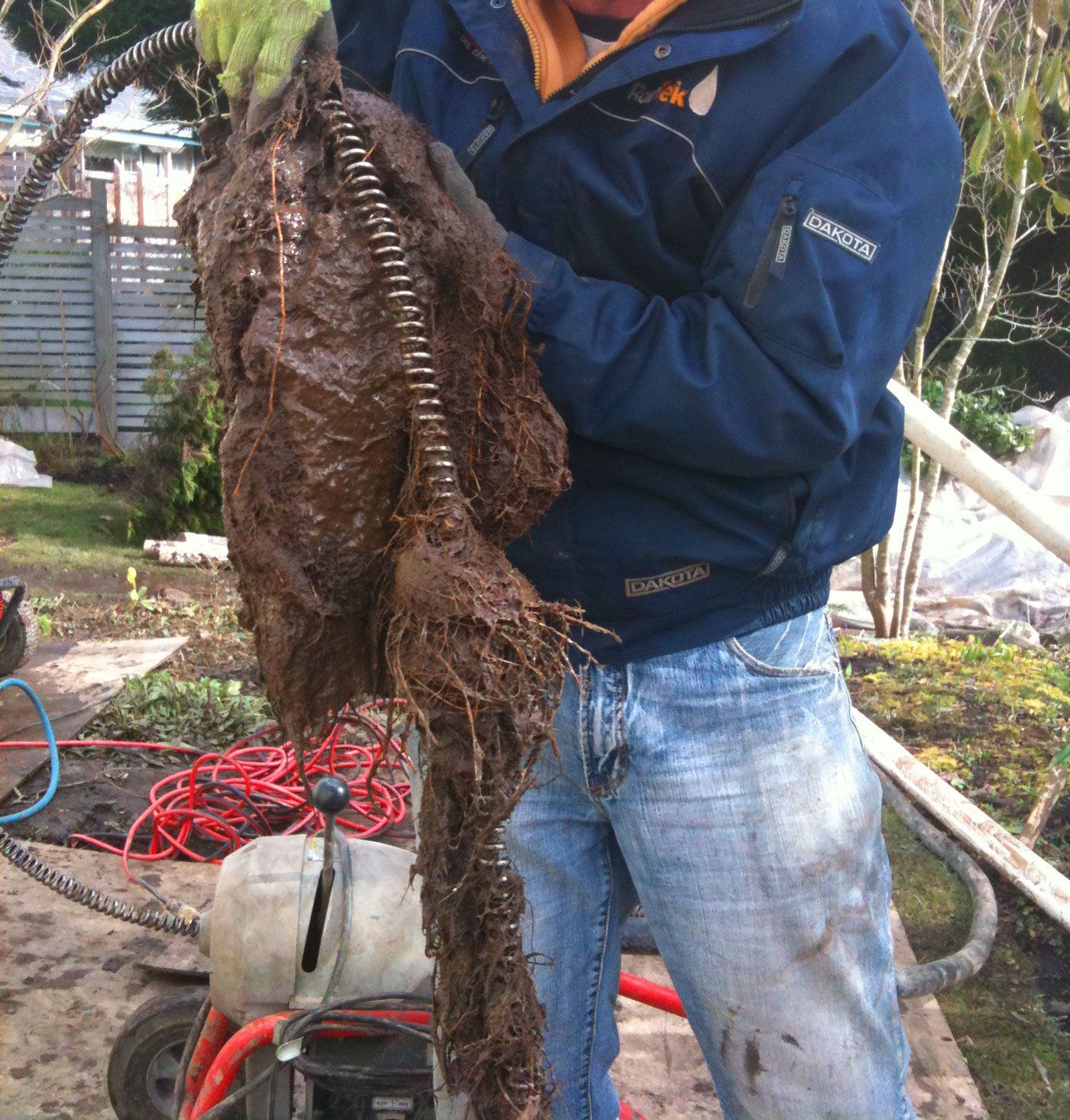 A drain plumber from RainTek holding up a rooter with tangled muck and tree roots in it after cleaning and unclogging a drain pipe