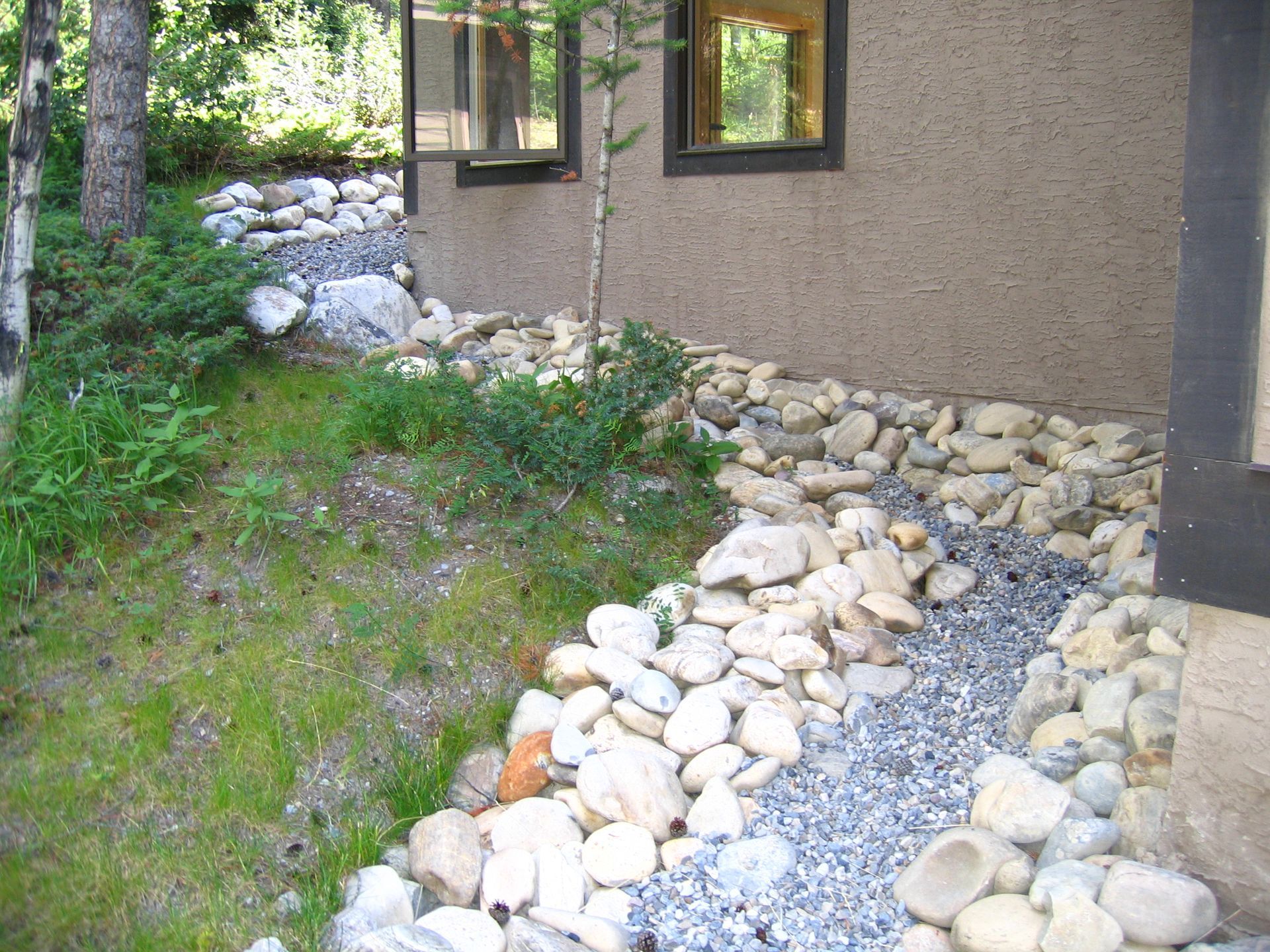 A beautiful French drain system running through luscious backyard landscape in Victoria BC