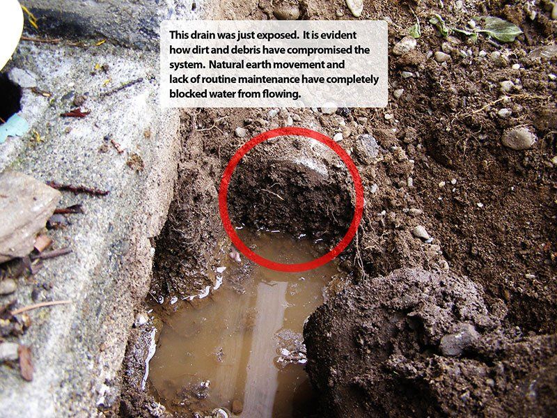 Diagnoses of a clogged drain pipe in Victoria BC due to lack of proper drainage maintenance
